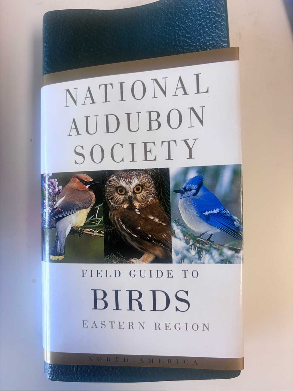 National Audubon Society Field Guide to North American Birds--E: Eastern Region